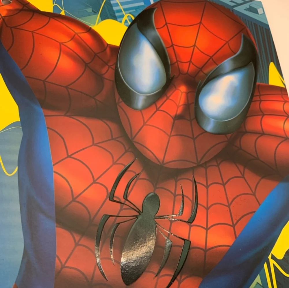 Spiderman Folder 2005